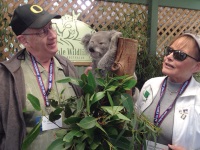 Photo of NCRF Major Gifts donors: A man and a woman dressed as tourists are up close and personal with a koala in a tree