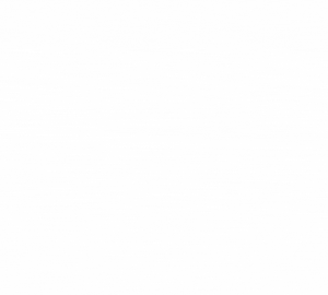 Animated GIF with the text “ON ASSIGNMENT” appearing in bold black letters on a clean white background, with a dynamic flickering effect resembling a typewriter or digital loading style.