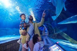 A man and two kids in an aquarium tunnel pointing to sharks overhead