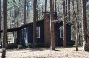 A cabin in the woods