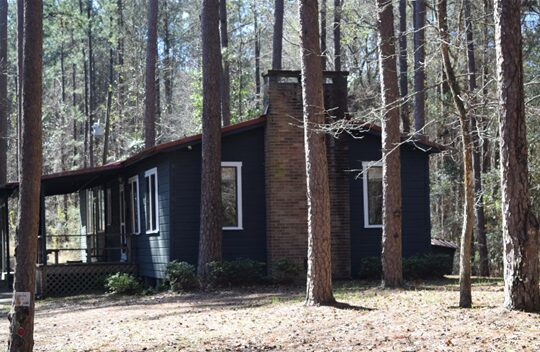 A cabin in the woods